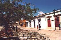 one of many colorful cobbled walking streets in Oaxaca