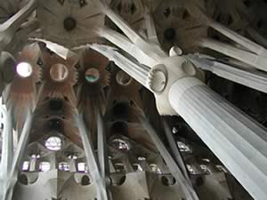 Gaudi's columns and vaults